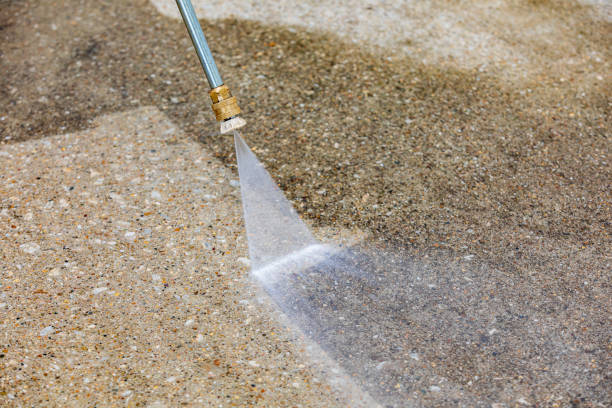 Best Gutter Cleaning  in South Pasadena, CA